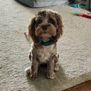 Meet your Posher, Melinda